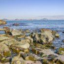 몽돌민박 이미지