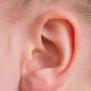 시그니아독일보청기경산센터 이미지