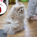 태우식육점 이미지