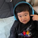 바람의 외증손자 근황 이미지