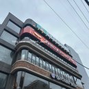 강남 고양이 카페 모카카페 후기 힐링 장소로 최고