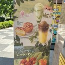 메가커피춘천우두점