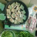 소야 솔밭 이미지