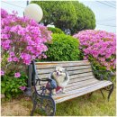 길안천 돌담집 이미지