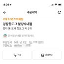명랑핫도그분당 이미지