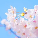 중화한의원 이미지