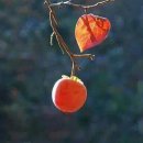 소소한하루 이미지