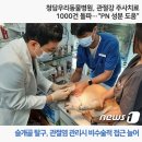 십자의료양행 | 청담우리동물병원, 관절강 주사치료 1000건 돌파…"PN 성분 도움"