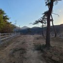 화순 미내미 목장 이미지