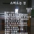 섬수산 이미지