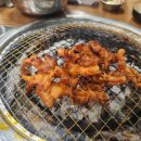 도도한돼지 이미지