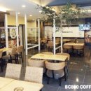 비씨팔백(BC800) 머니투데이