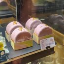 스타벅스시흥프리미엄아울렛(스타벅스시흥P아울렛) | 시흥 프리미엄아울렛 스타벅스 메뉴 및 가격, 신메뉴 쁘띠까눌레 후기