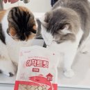 건강한 강아지 | 건강한 강아지 간식 찾는다면? 굿포펫 애착트릿 연어트릿 추천 후기