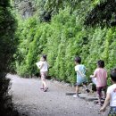 미로농장 이미지