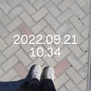 호려울마을8_9단지(세종우체국방면) (51102) | 세종시 보람동 아파트 임장(호려울마을 1단지, 3단지, 4단지, 5단지, 6단지, 7단지, 8단지, 9단지, 10단지)