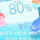 마마스미독 강아지 분양 김해점 이미지