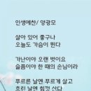즐김
