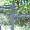 안산(해발295.9m) 자락길(홀로 재답사) [2024.09.24(화)] 2 이미지