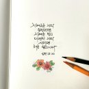 색연필 붓펜 그림 손글씨 이미지