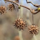 반석위의집 이미지