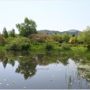 주암호 생태습지 이미지