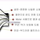 예담인악기사