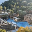 해 호텔 | 제주 롯데호텔 수영장 해온! 아이랑 사계절 온수풀 이용 후기