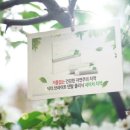 닥터브라이트