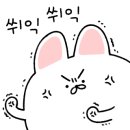 핵밥대전