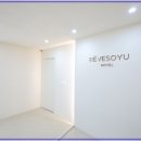스테이 레브 네이버블로그