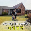 곽지집 | 제주 애월 독채 가족펜션 애월별땅 아기와 함께한 내돈내산 후기