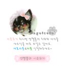 해랑방1 이미지