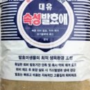 발효애