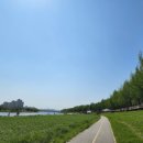 노을공원가로수길 이미지