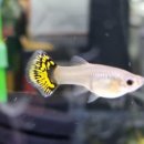 (주)칼라세븐 이미지