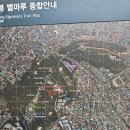 용남시장 | 일상/용남시장 백년손님식당 백반 맛집