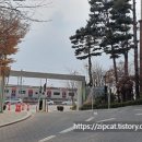 서울숲미래연어린이집 티스토리