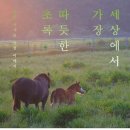 근성목장 조선일보