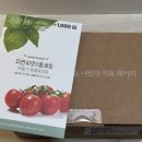 물푸레건강 | [LG 틔운미니] 바질 재배 후기, 수확부터 수제 바질페스토 만들기까지