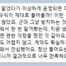 주식회사 정산 | 주식회사 지바 블로그 임대 확실한 정산으로 만족한 후기