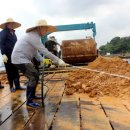 하동물양장 이미지