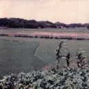 안산시민햇빛19호발전소 이미지