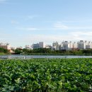 만석공원 이미지