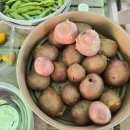 김미옥 농장 이미지