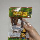 숏다리 | 새벽이 작업할 때 먹으려고 산 숏다리 오징어 후기