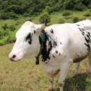 성동목장 이미지