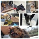 제주오름동물병원 이미지