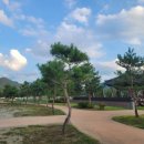 곽다정이네 이미지