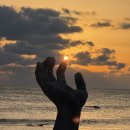 농협농산물직판장 | 12월 1박2일 포항 여행: 둘째 날 후기 호미곶, 상생의 손, 일출, 한우소머리곰탕, 물회, 삼국유사군위...